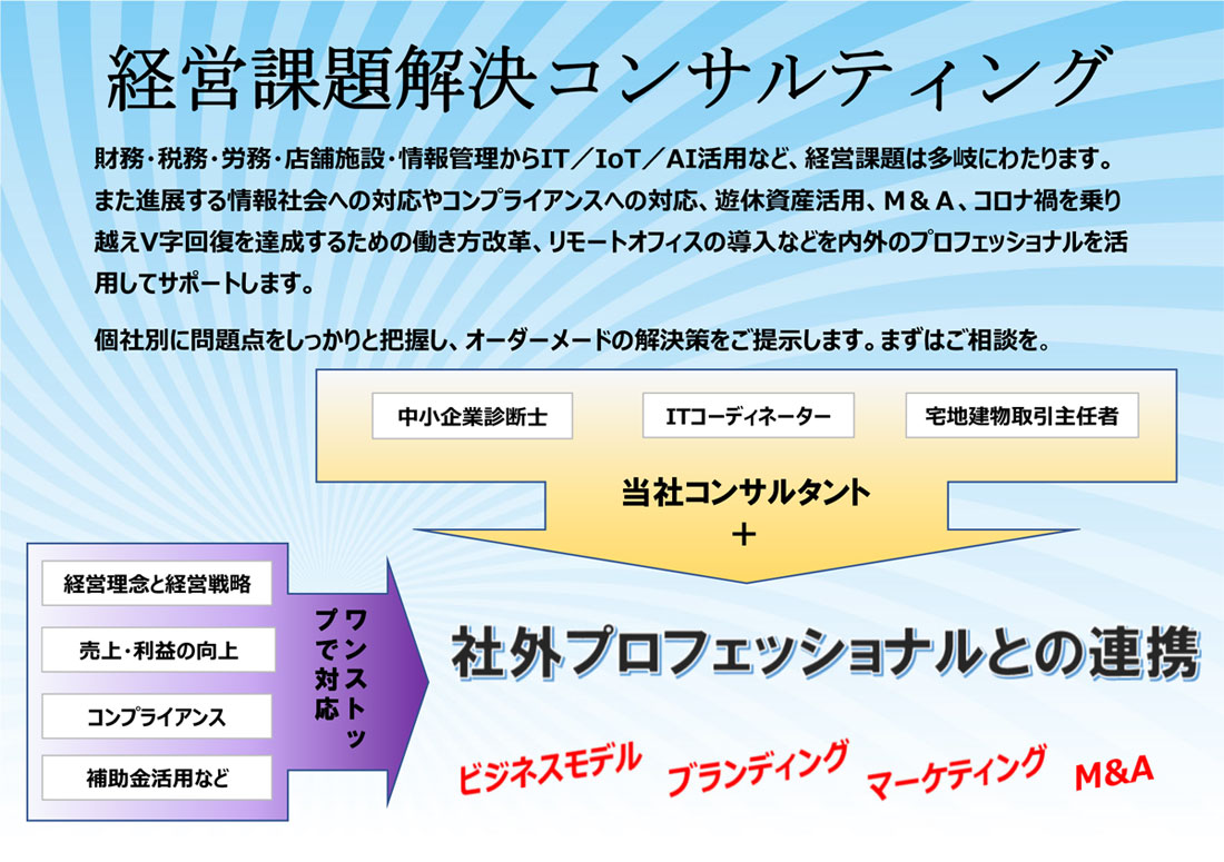 経営議題解決コンサルティング